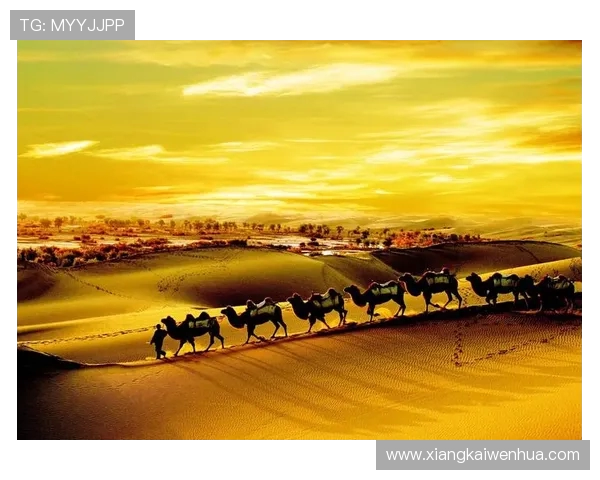 德甲球队背后的历史背景与地方文化渊源