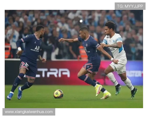 法甲里昂年度比赛票房收入与观众数据