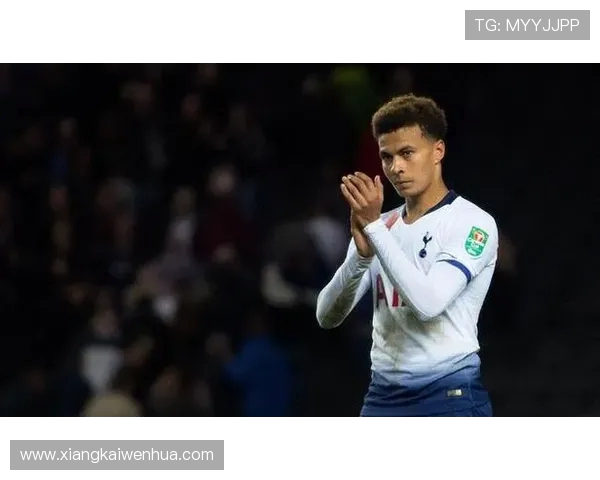 英超球员阿里的职业生涯数据与表现 英超球员阿里的职业生涯数据与表现